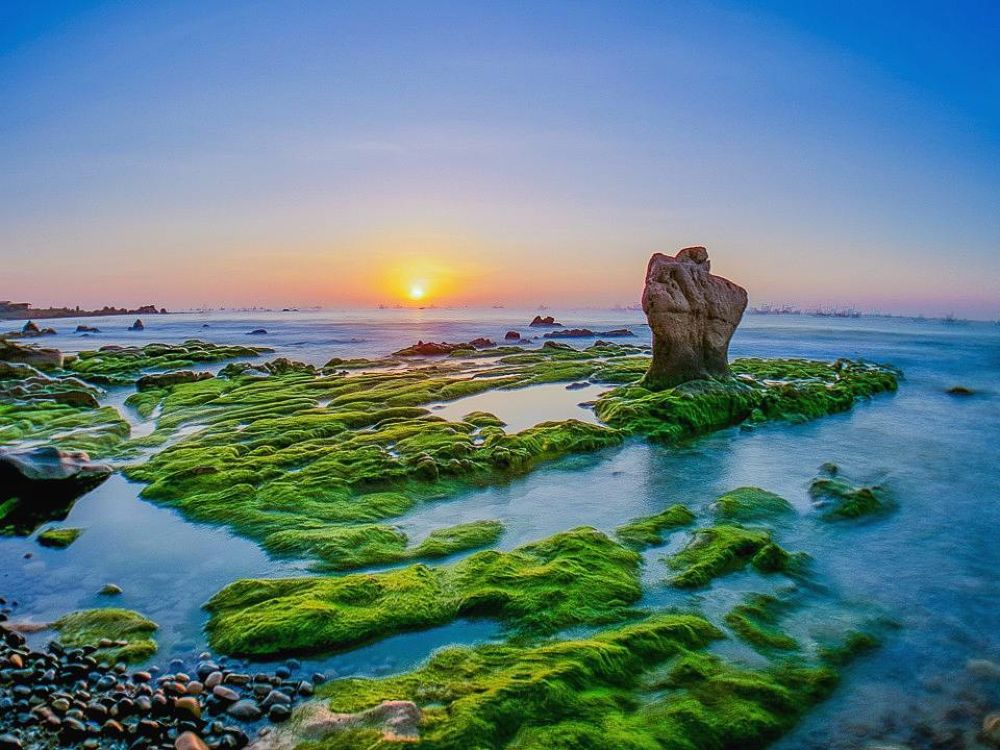 Bãi đá rêu phong độc đáo tại Biển Cổ Thạch